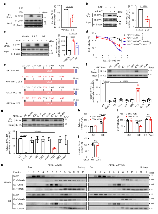 6388931235085408067201788