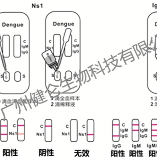 Panbio登革病毒NS1抗原IgG/IgM抗体检测试剂盒(胶体金法)