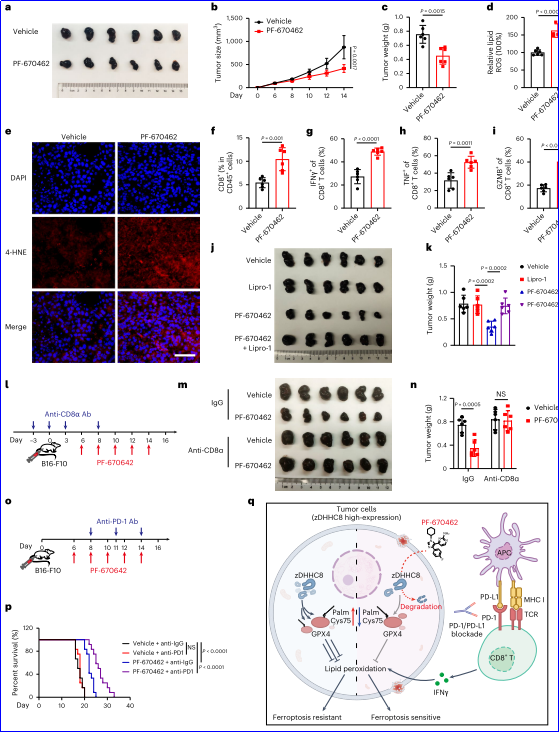 6388931250039136891730256