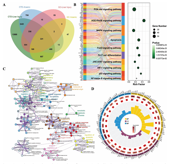 6388948183386286498921646
