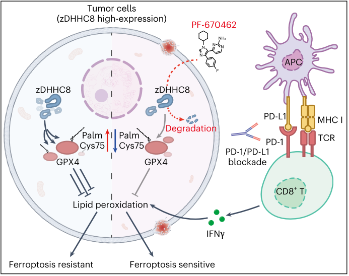 6388931252048522747025945
