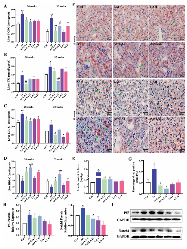 6388948226915275732948648