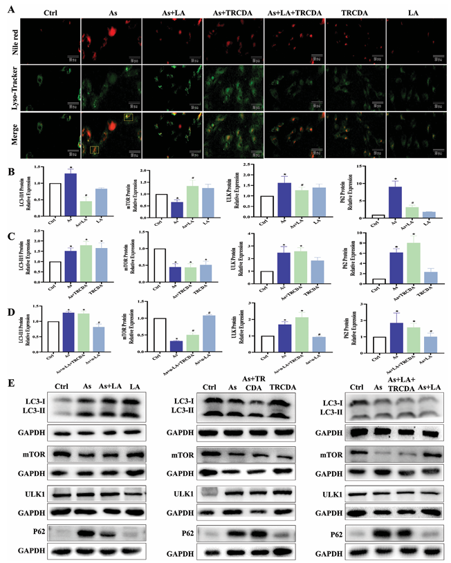 6388948203198943274600560