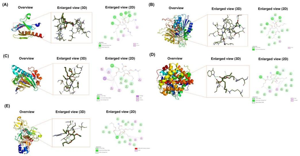 6388931444709025384973010
