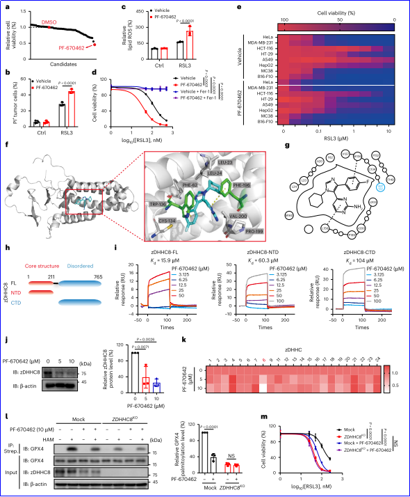 6388931243446721723467009
