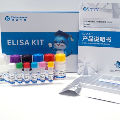 人白细胞介素 6(IL-6)ELISA 试剂盒