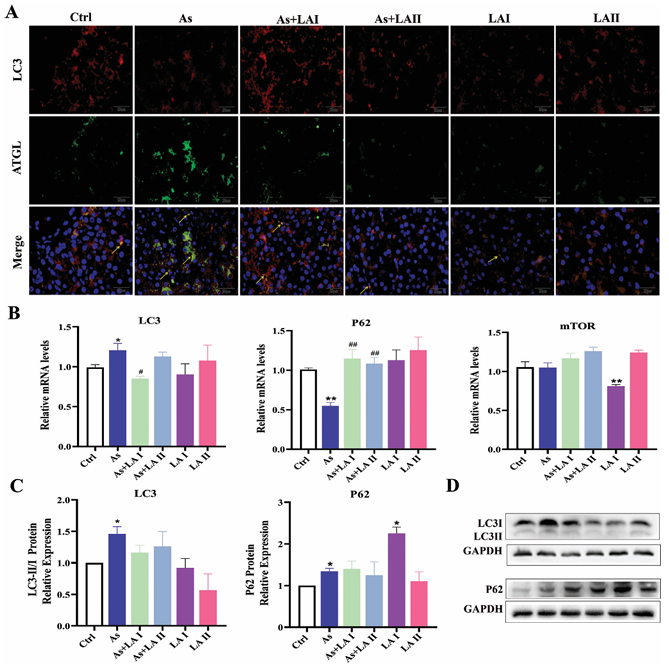 6388948221599476946747609