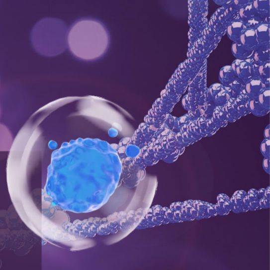 细胞产品及服务