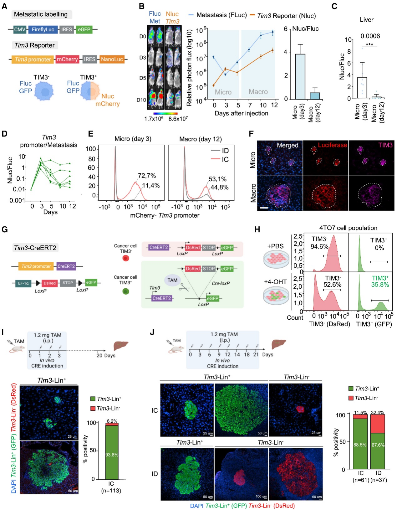 6388931130705590148733901