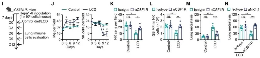 cell-20250715-Data1.1