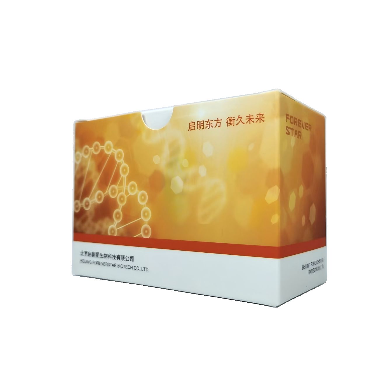 StarPure质粒小提试剂盒（膜柱法）