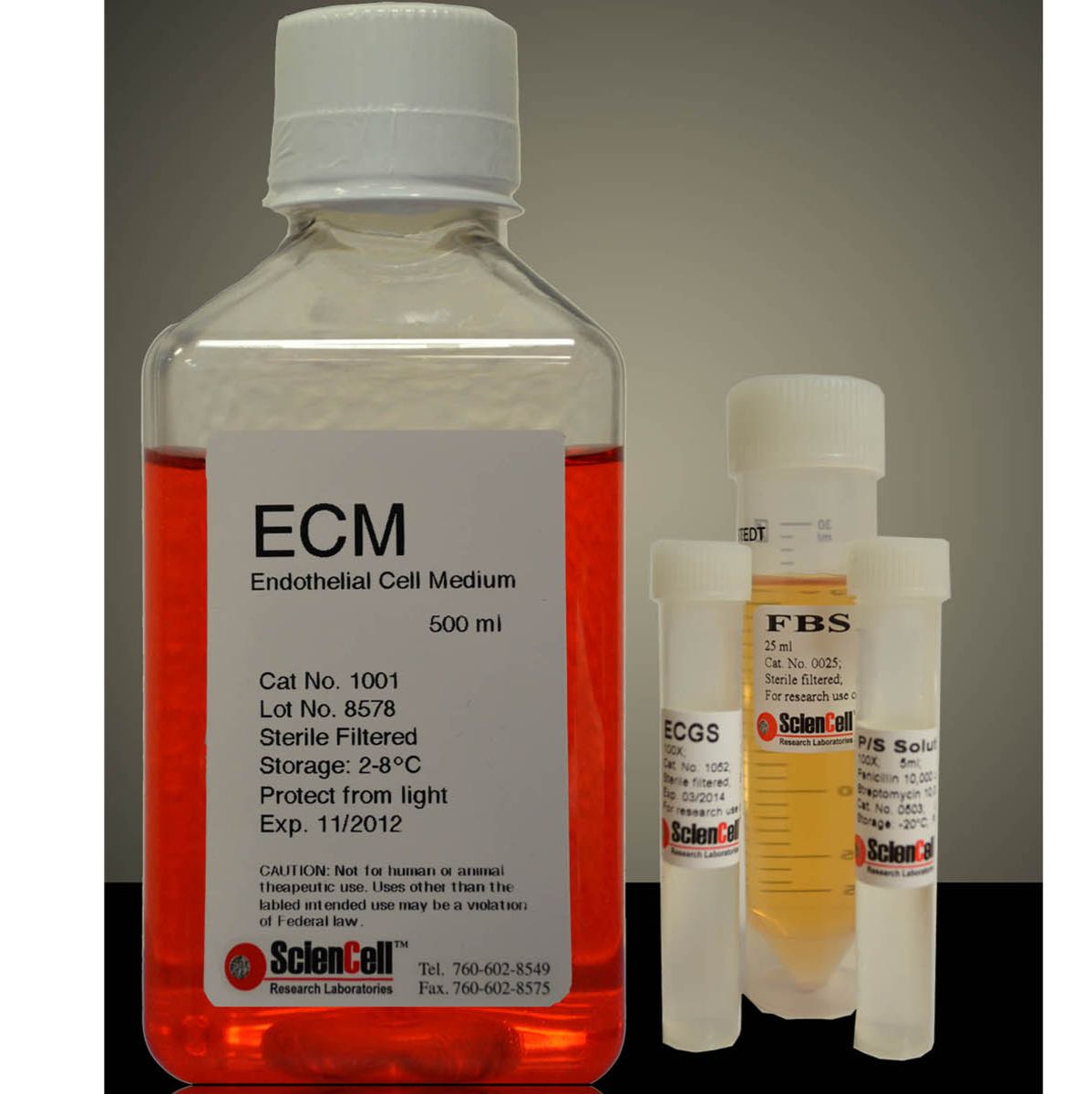 Sciencell货号3501骨骼肌细胞培养基SkMCM （Skeletal Muscle Cell Medium )