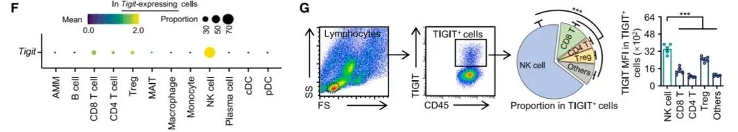 cell-20250715-Data2.1