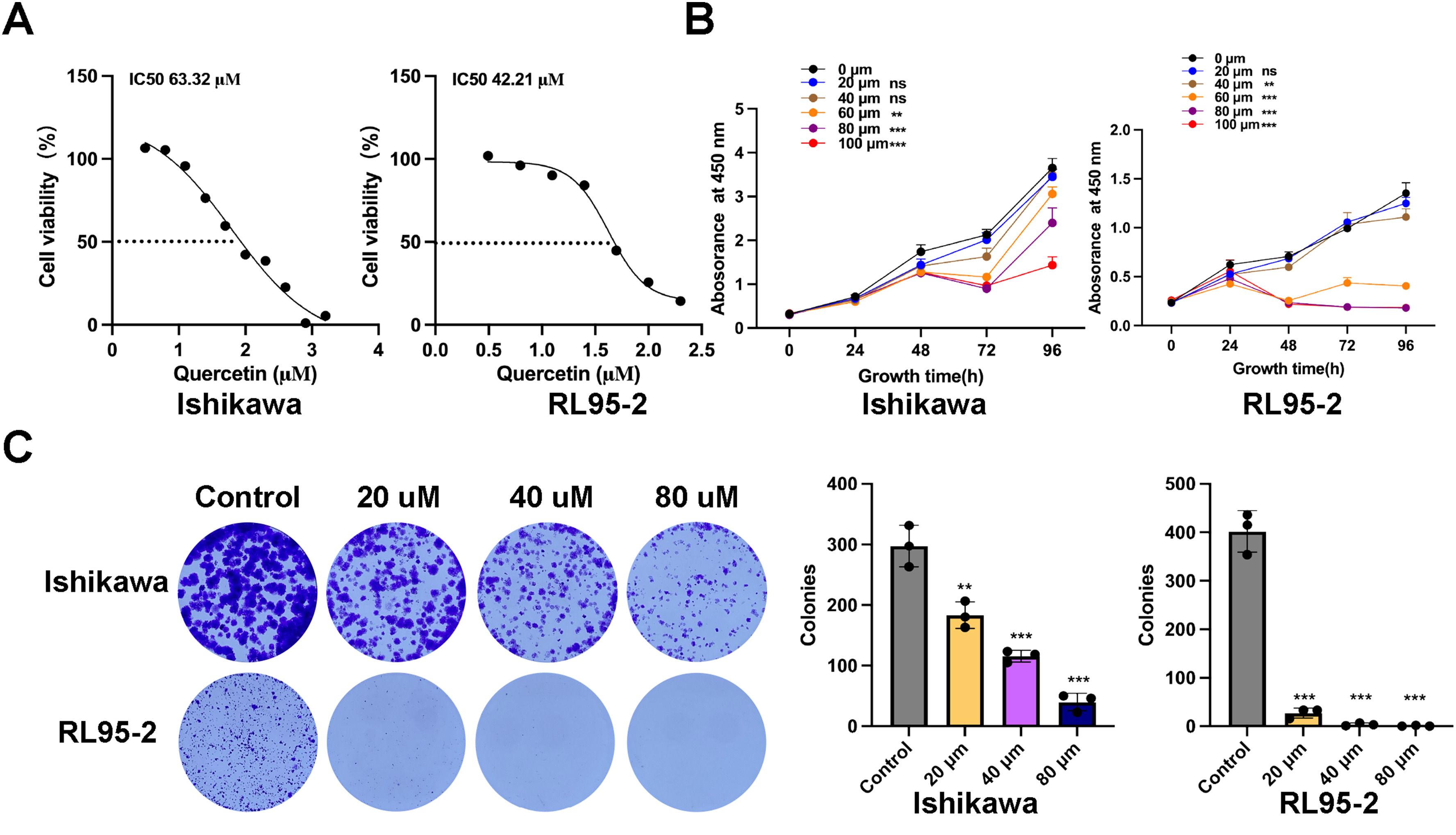 IF:8.5，网络药理学+双疾病王炸组合，分子模拟+湿实验双重验证，高分赛道揭秘！