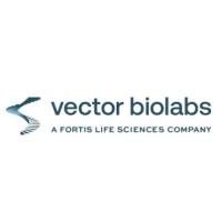 维百奥生物代理Vectorbiolabs品牌全系列产品