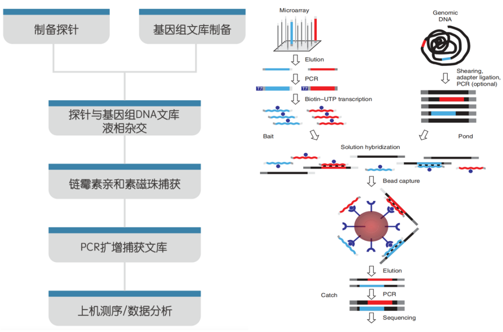 1745744931537838.png 图片54.png