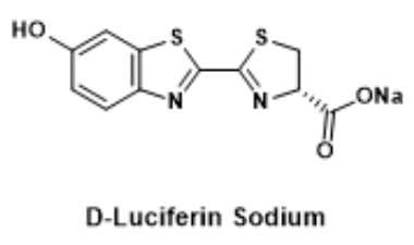 D-荧光素钠盐
