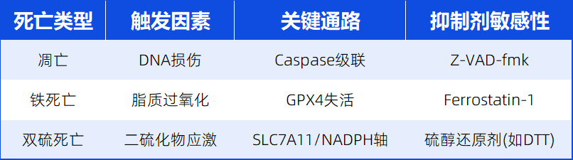 双硫死亡:解锁细胞死亡新机制,细胞死亡领域的“新星”