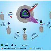 负载伊立替康和吲哚菁绿的超顺磁性氧化铁纳米颗粒被巨噬细胞膜包裹 IrI/ICG@USPIO@MM
