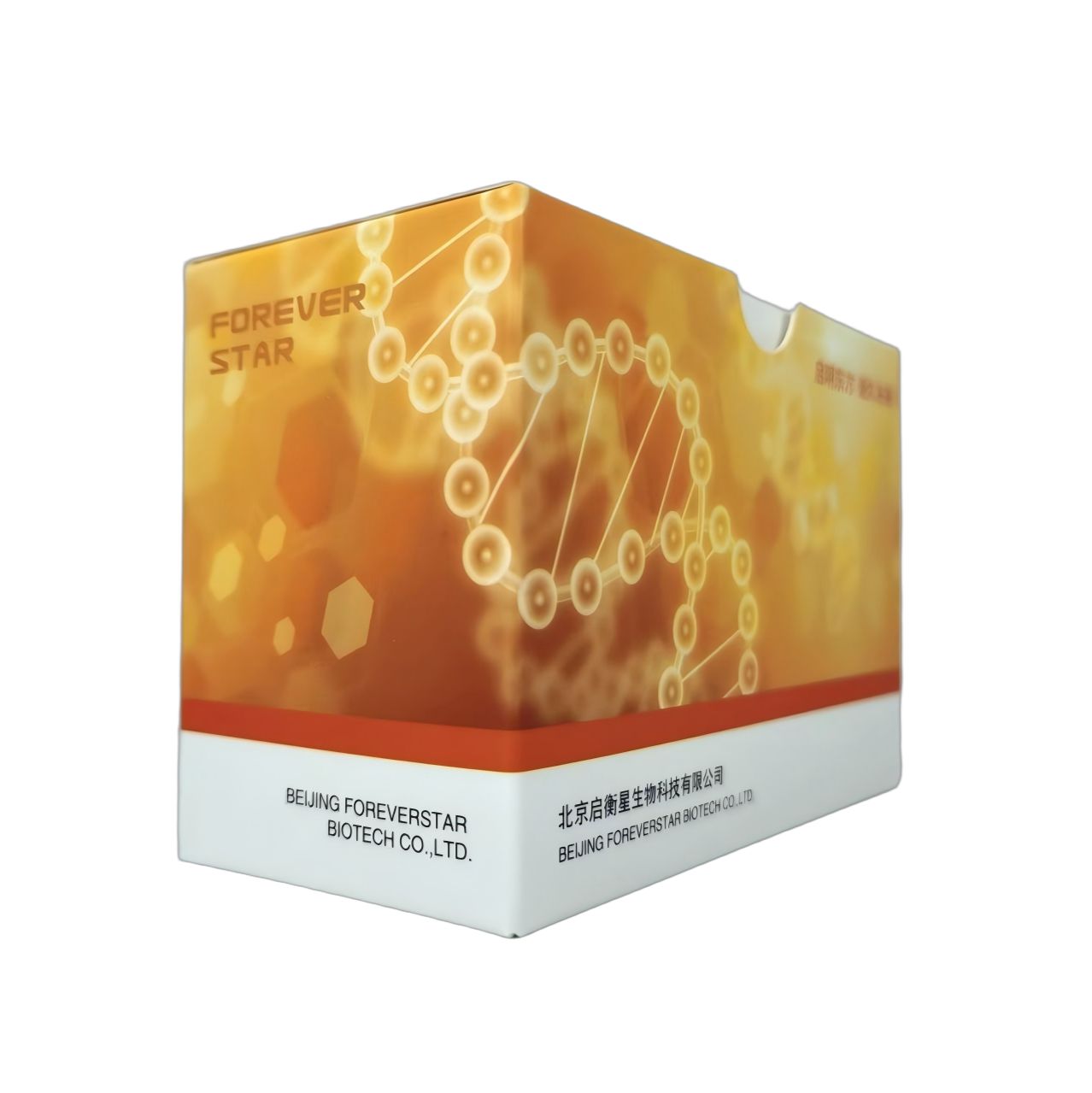 StarLighter Taq Pro 探针法多重 qPCR 预混液(UDG)