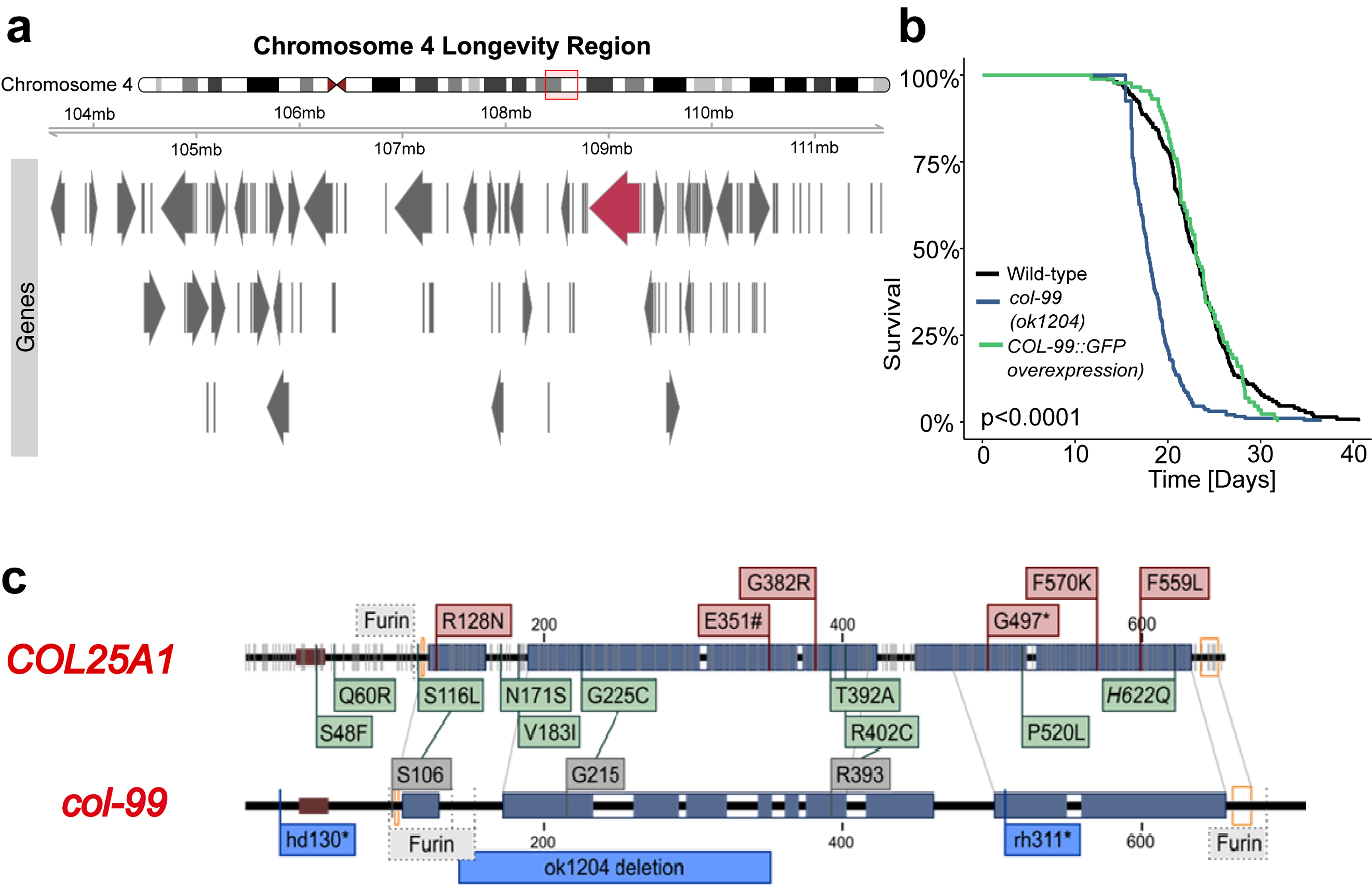 WMicrotracker小动物活动力分析系统文章分享20250801