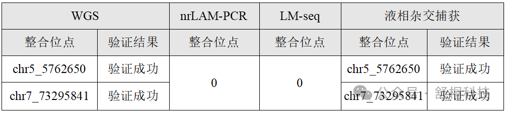 液相杂交捕获技术重塑AAV整合安全评价标准：0.001%检出灵敏度的方法学突破