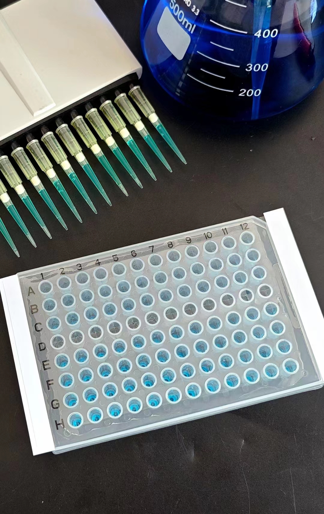 告别实验失误！掌握PCR板使用的5个关键技巧