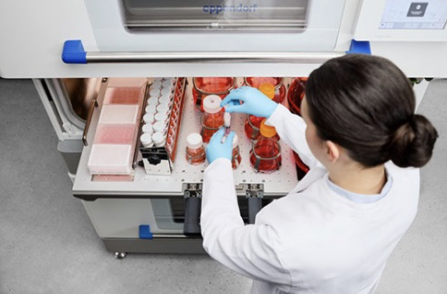 告别消毒死角！这台CO₂培养摇床，让细胞培养远离污染焦虑