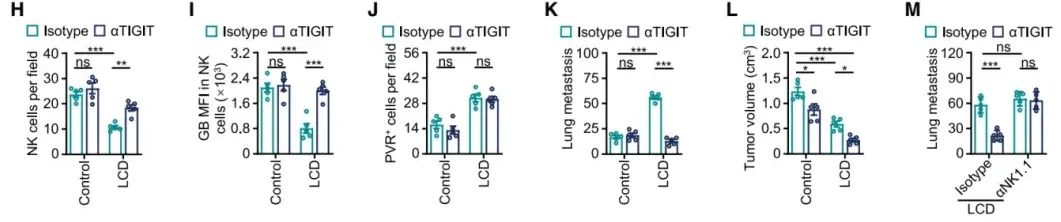 cell-20250715-Data2.2