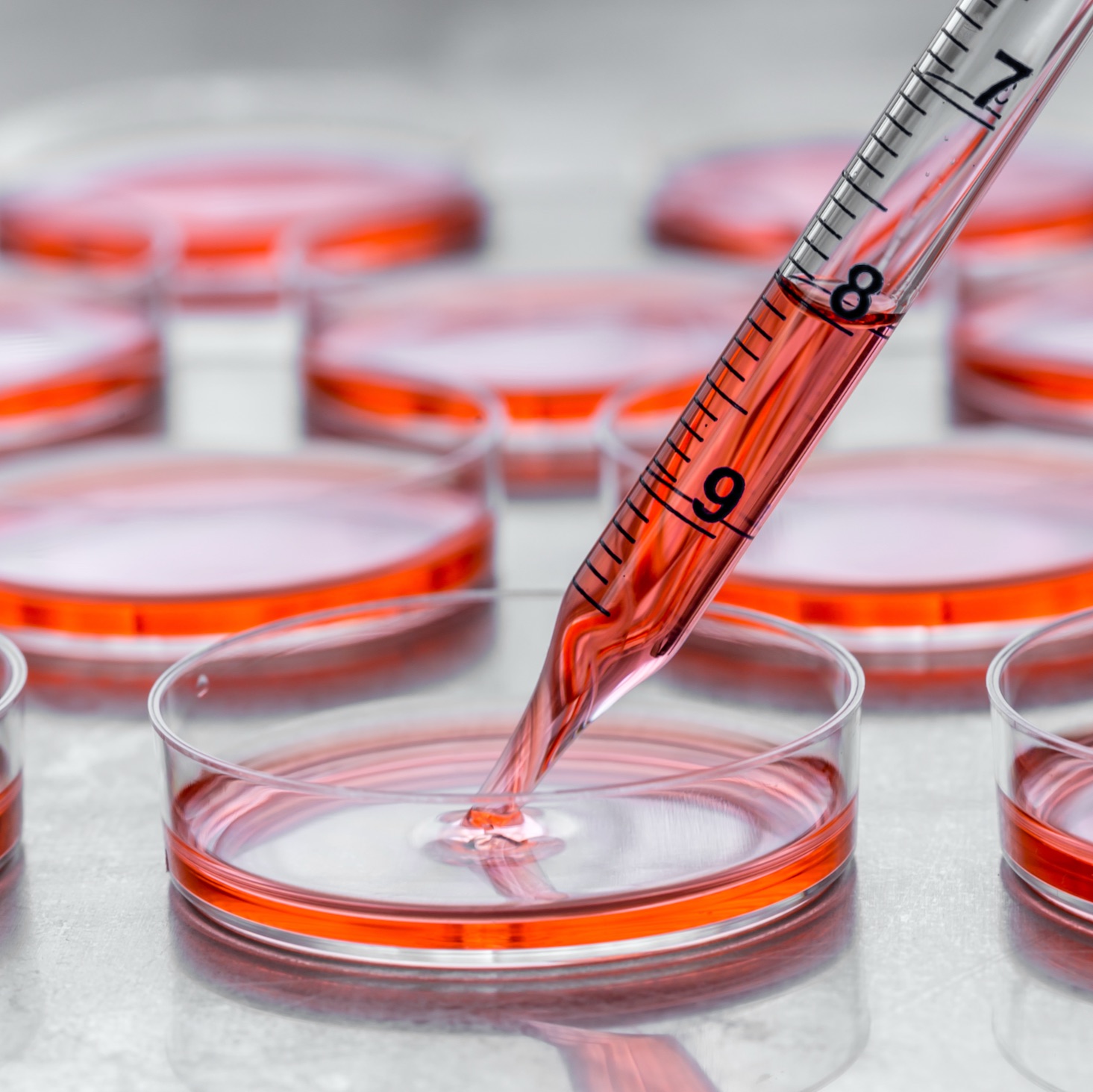 干细胞上清超滤管 ,15mL,100kd