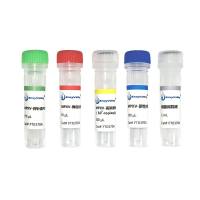 猴*病毒探针法PCR试剂盒