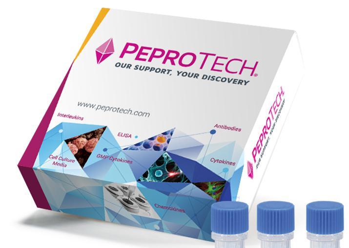 PeproTech Human FGF-basic (154