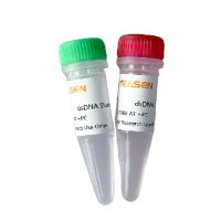 快速双链DNA荧光定量检测试剂盒Qubit® 1×dsDNA HS Assay Kit