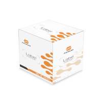 牛传染性胸膜肺炎(牛肺疫)实时荧光PCR检测试剂盒