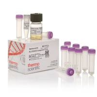 Thermo Scientific™ BL21(DE3) 感受态细胞