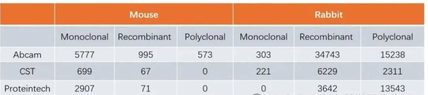 兔抗与鼠抗怎么选