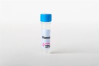 PeproTech Human FGF-basic (154 a.a.) (100ug)