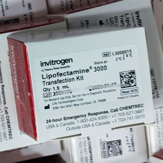 L3000015，脂质体3000转染试剂，Lipofectamine 3000