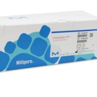 ISEQ00010 PVDF膜,26.5cm*3.75m 0.2μm