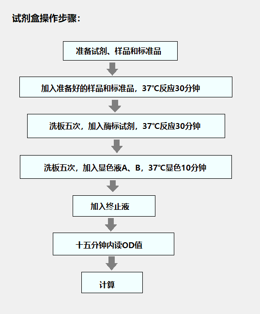 试剂盒操作步骤 .png