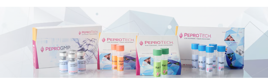 PeproTech Human FGF-basic (154