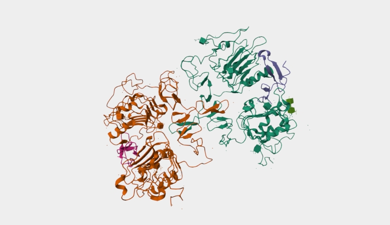 类器官培养常用细胞因子