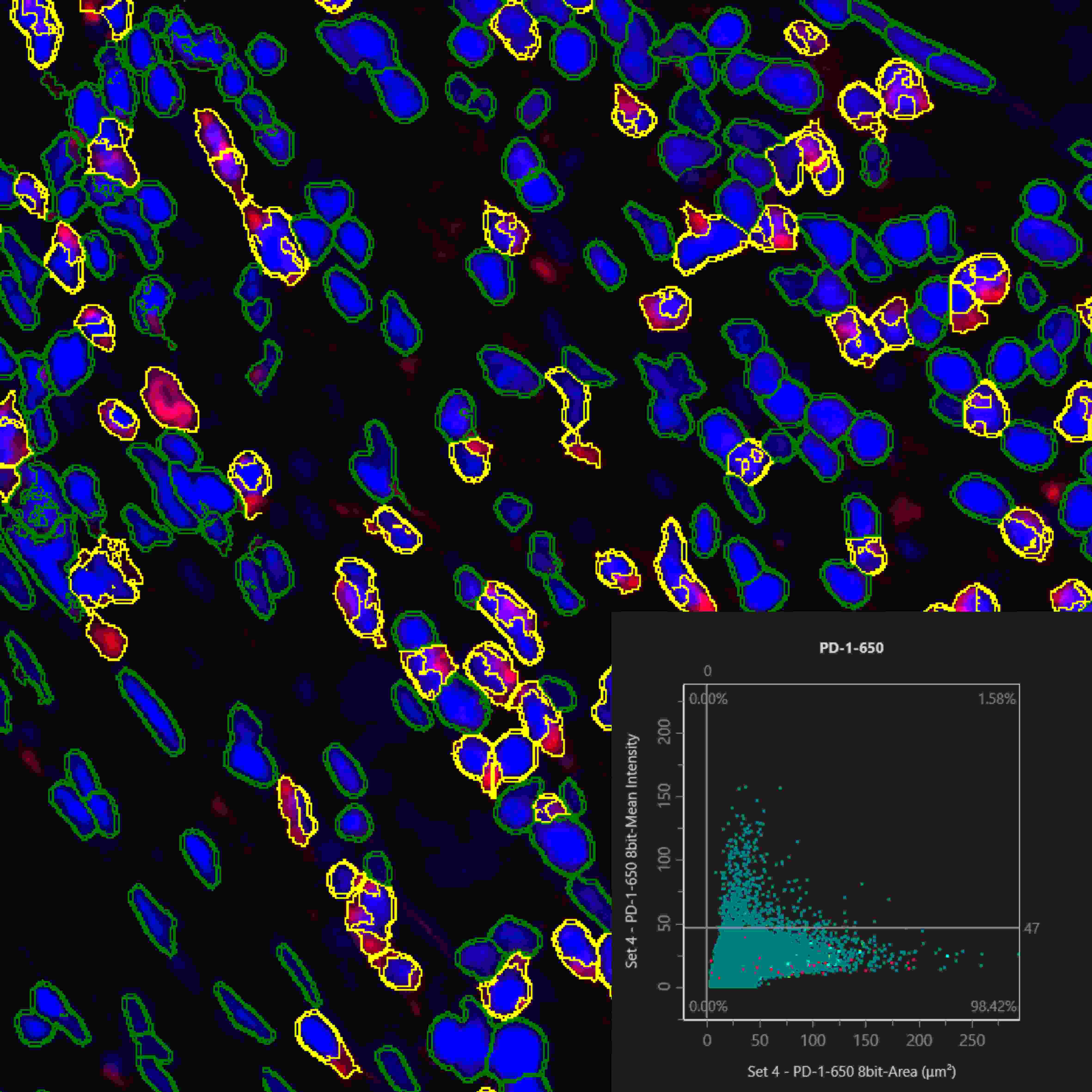 从样本到数据:TissueGnostics 全景多标记技术服务,科研效率翻倍的秘密