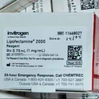 11668019,Lip2000,Lipofectamine2000转染试剂