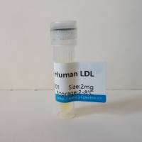氧化型低密度脂蛋白(Human Ox-LDL)