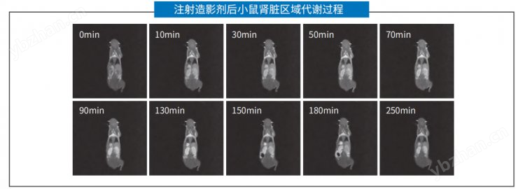 图片5.png 国产小动物核磁共振成像分析仪-苏州