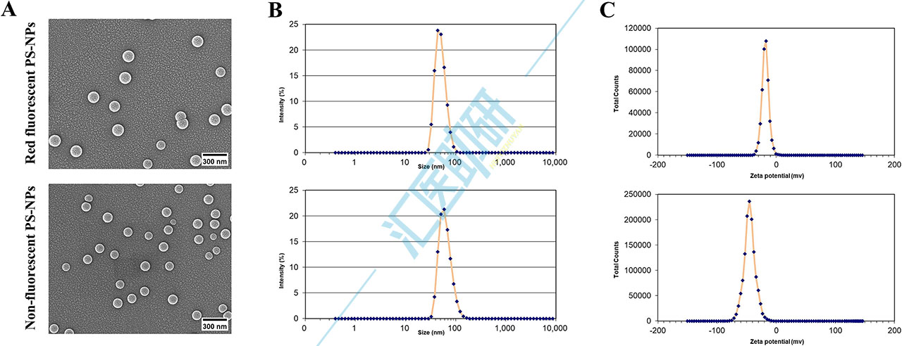 图1.PS-NPs的表征