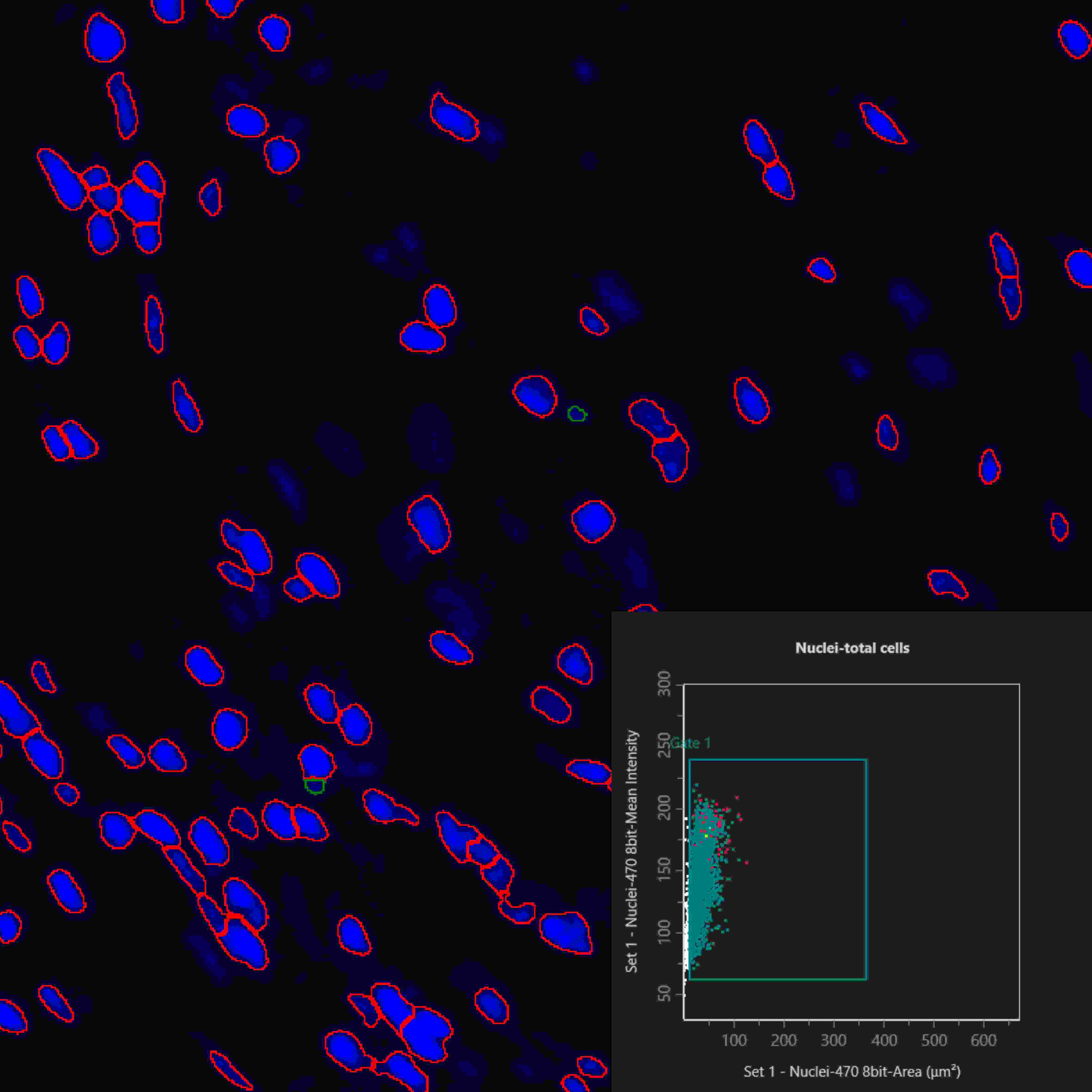 从样本到数据:TissueGnostics 全景多标记技术服务,科研效率翻倍的秘密