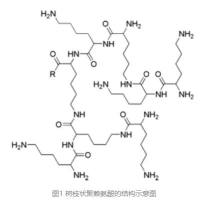 负载盐酸吉西他滨的超支化聚赖氨酸被甘露糖修饰 GEM HCL@HPL-Man