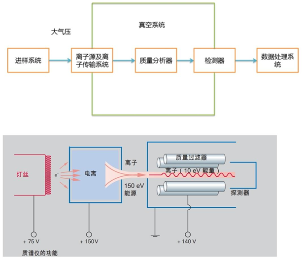质谱仪的 “神秘搭档”：没有它，再牛的分析都白搭！